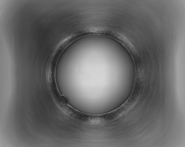 X0000112540587200908241528