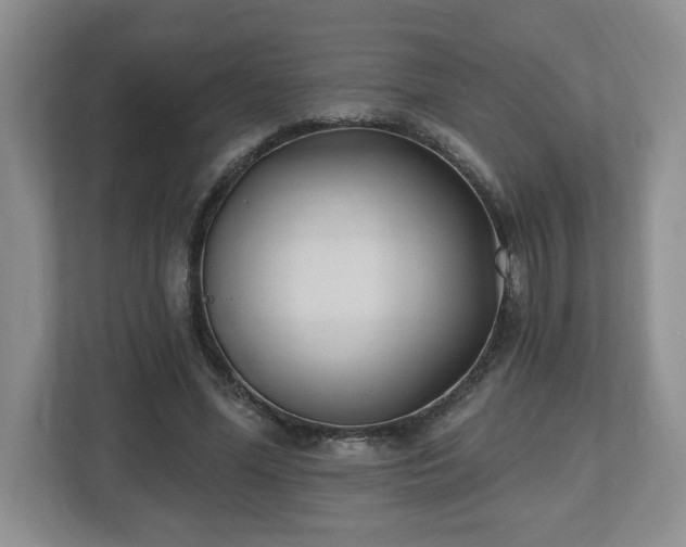 X0000112540588200908241528