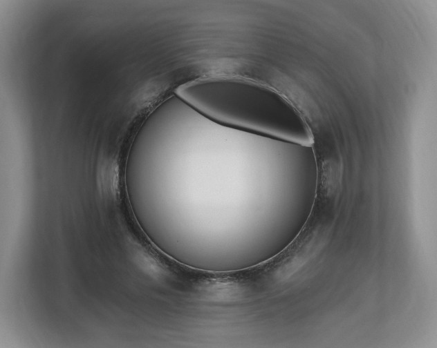 X0000112540589200908241528