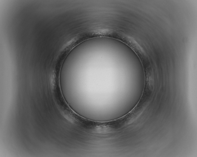 X0000112540591200908241528