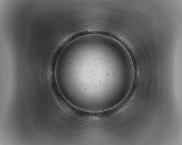X0000112540592200908241528