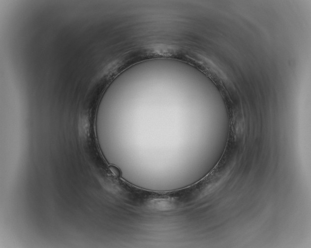 X0000112540595200908241528