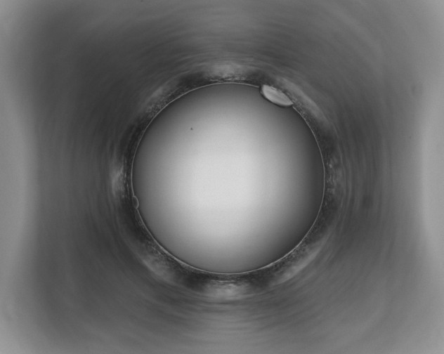 X0000112540597200908241528