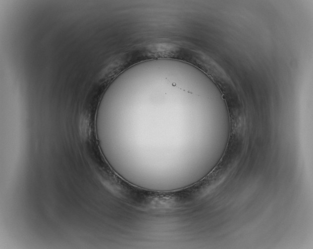 X0000112540599200908241528