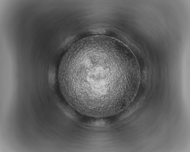 X0000112540600200908241528
