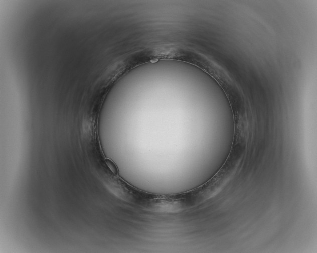X0000112540601200908241528