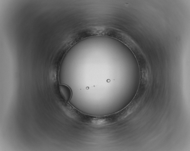 X0000112540602200908241528