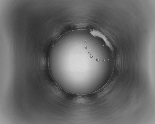X0000112540608200908241528