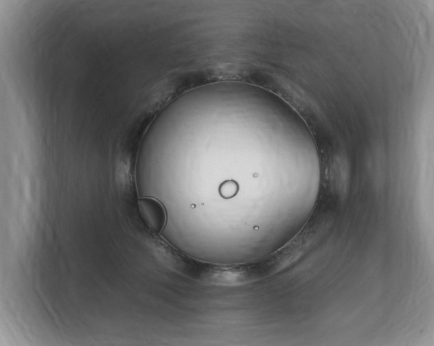 X0000112540610200908241528