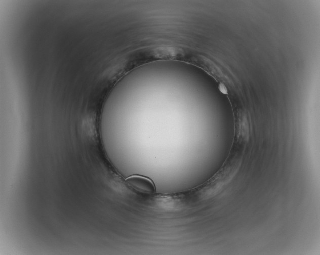 X0000112540616200908241528