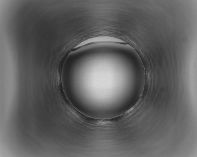 X0000112540617200908241528