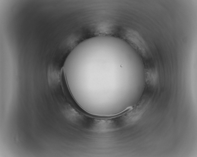 X0000112540621200908241528