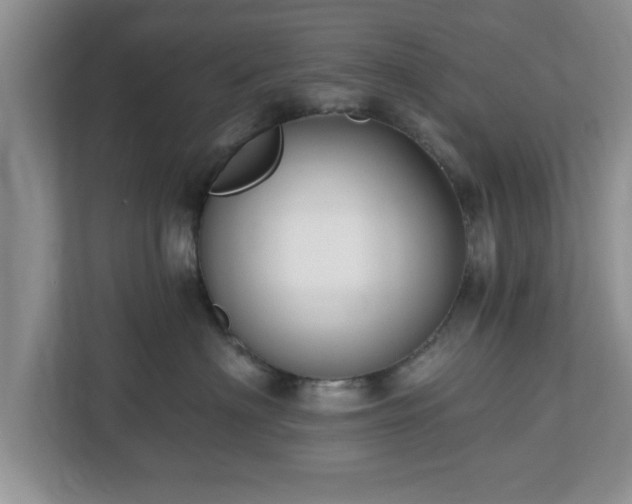 X0000112540622200908241528