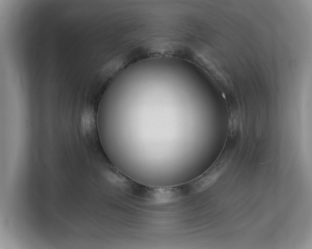 X0000112540623200908241528
