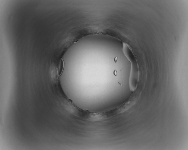 X0000112540624200908241528
