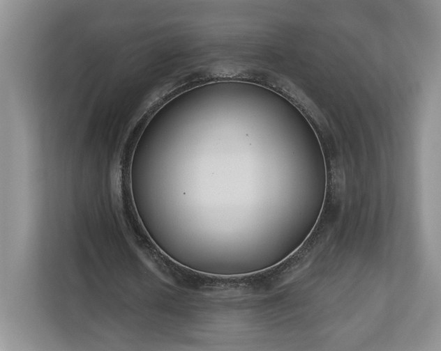 X0000112540626200908241527