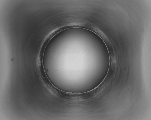 X0000112540628200908241527