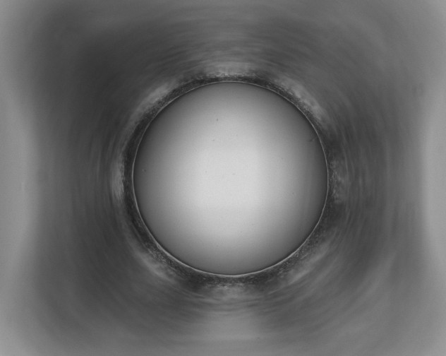 X0000112540631200908241527