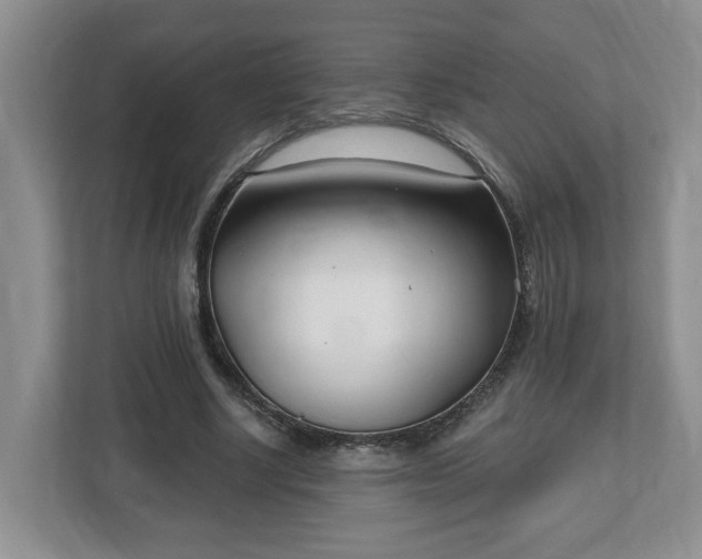 X0000112540634200908241527