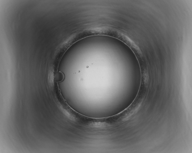 X0000112540637200908241527