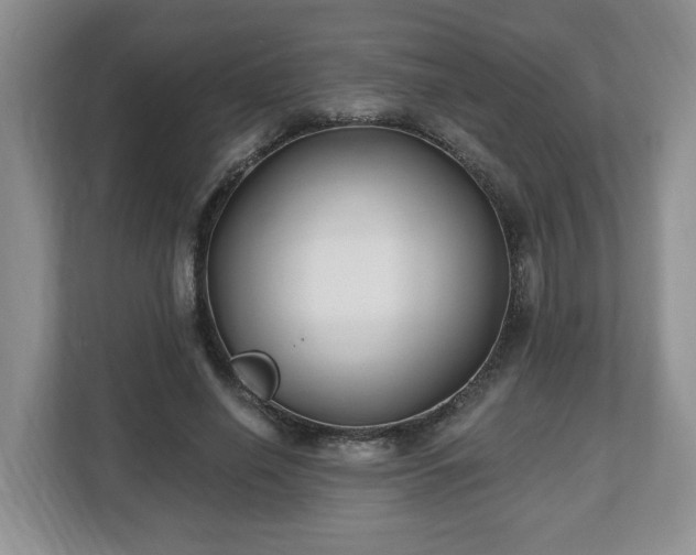 X0000112540638200908241527