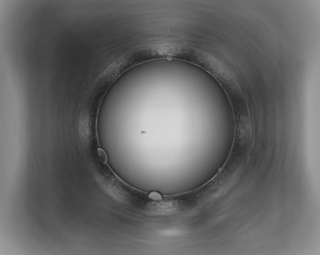 X0000112540639200908241527