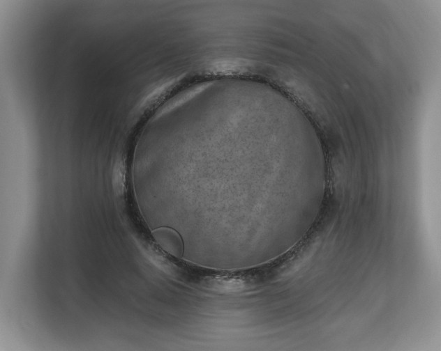 X0000112540640200908241527
