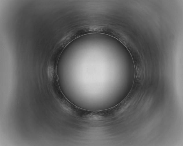 X0000112540648200908241528