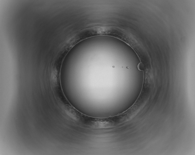 X0000112540650200908241528