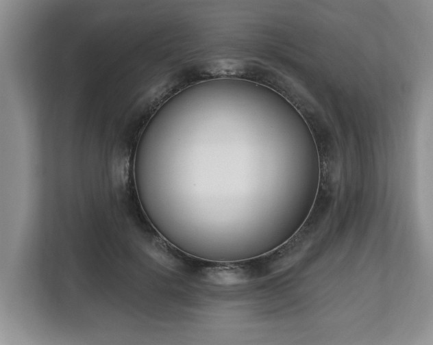 X0000112540652200908241528