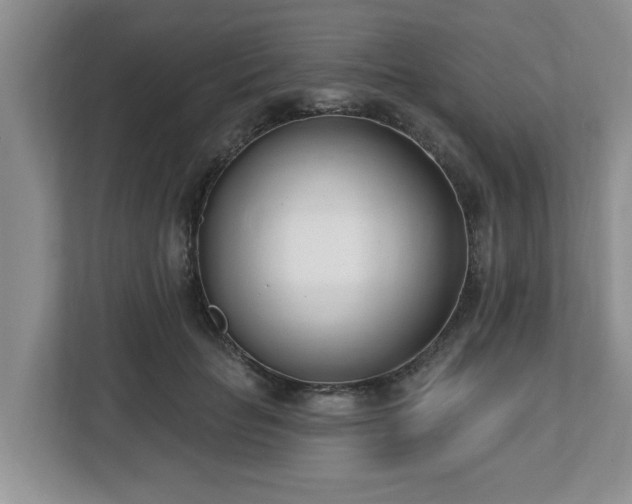 X0000112540653200908241528