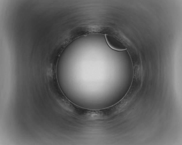 X0000112540655200908241528