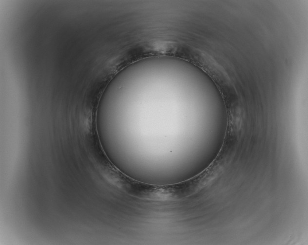 X0000112540656200908241528