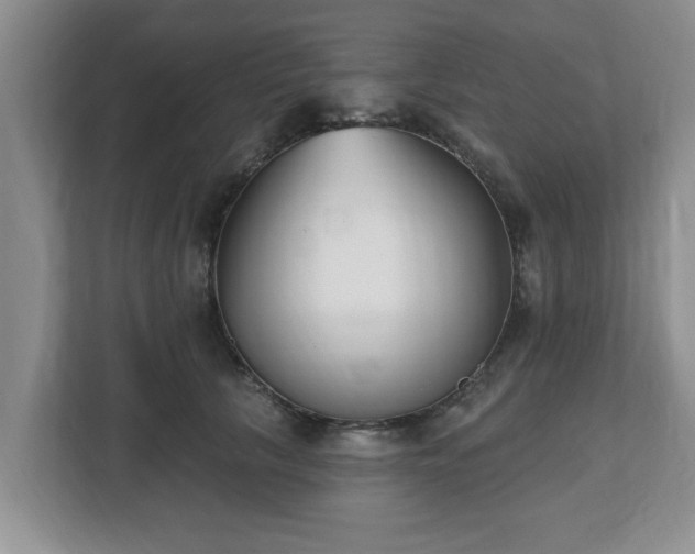 X0000112540657200908241528