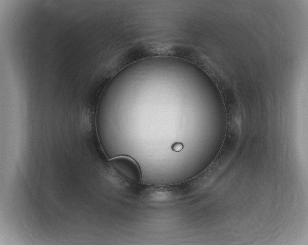 X0000112540658200908241528