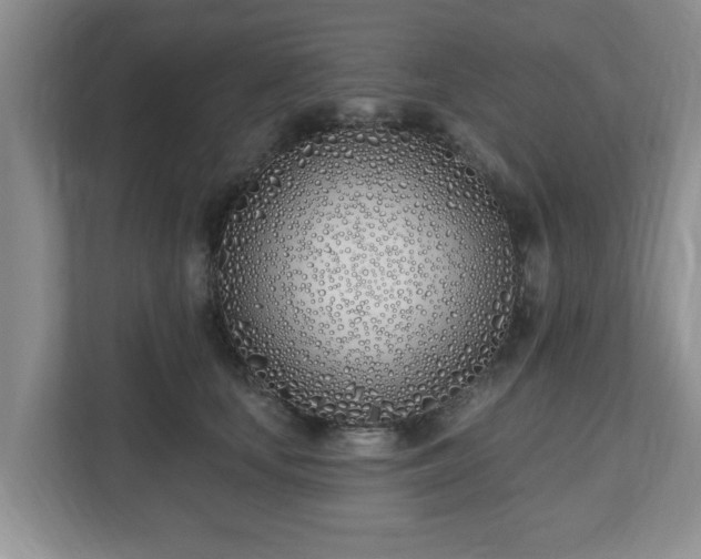 X0000112540659200908241528