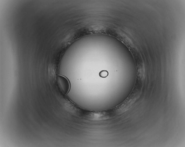 X0000112540662200908241528