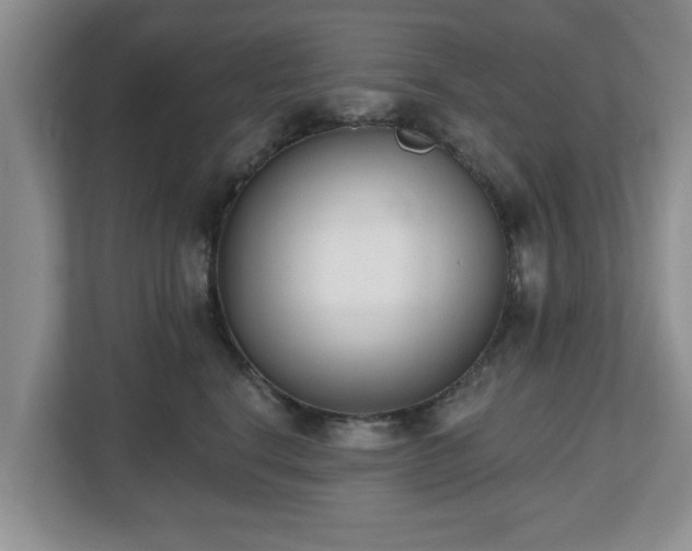 X0000112540664200908241528