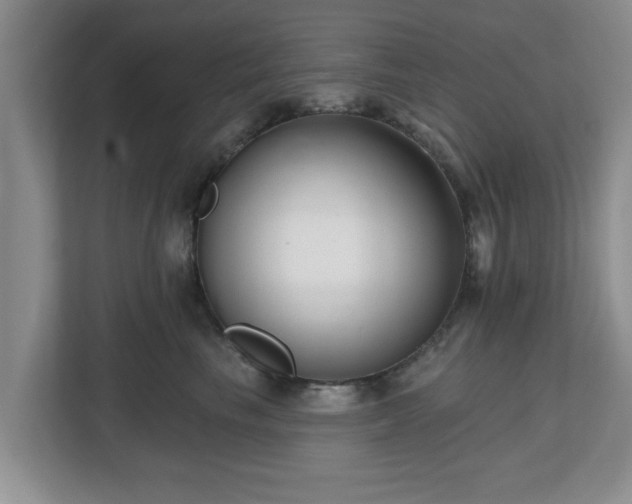 X0000112540665200908241528