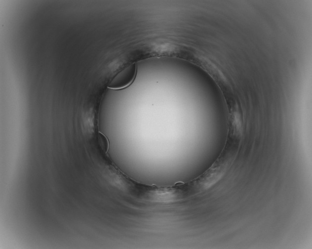 X0000112540668200908241528