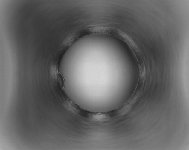 X0000112540669200908241528
