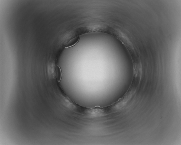 X0000112540670200908241528
