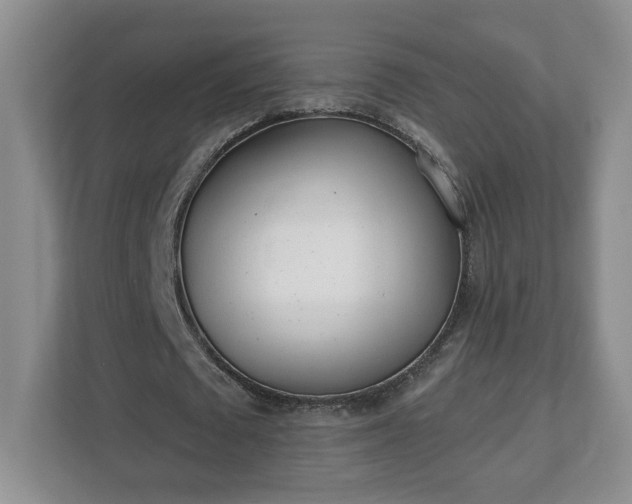 X0000112540673200908241527