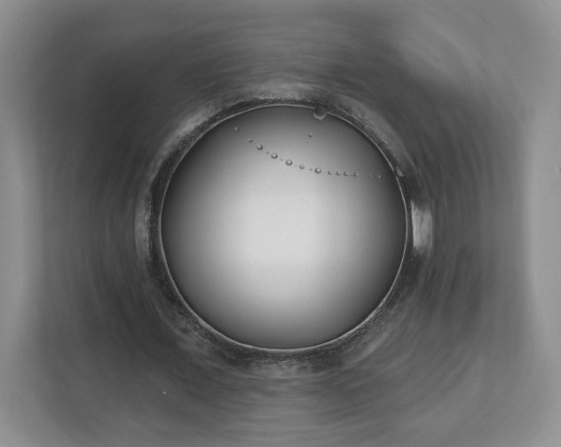 X0000112540675200908241527