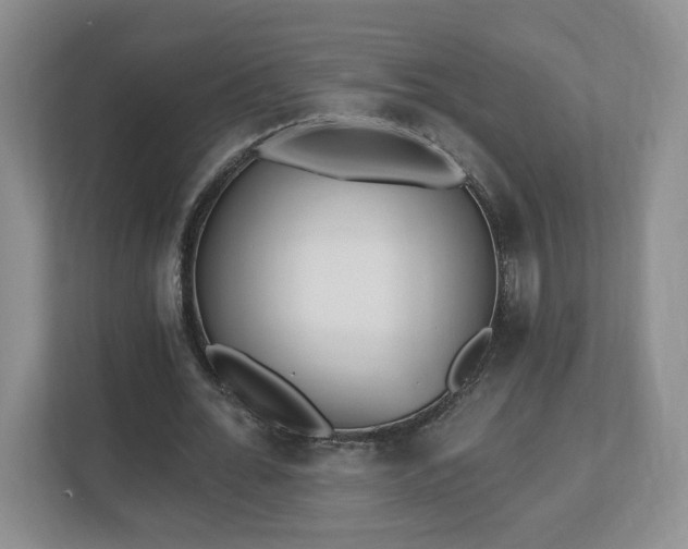 X0000112540676200908241527
