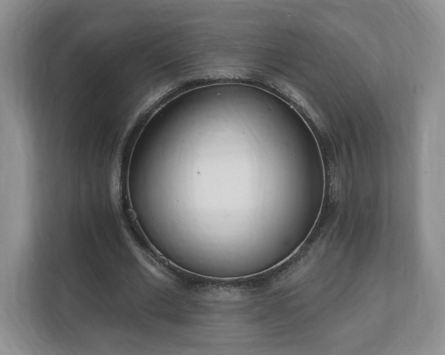 X0000112540677200908241527