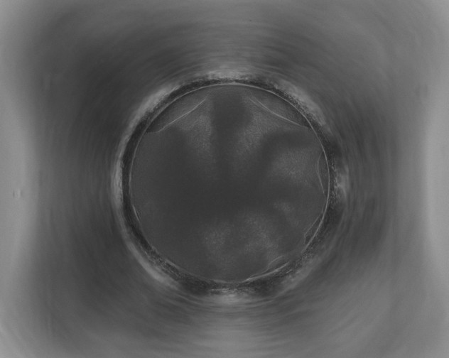 X0000112540678200908241527