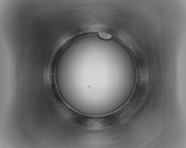 X0000112540680200908241527