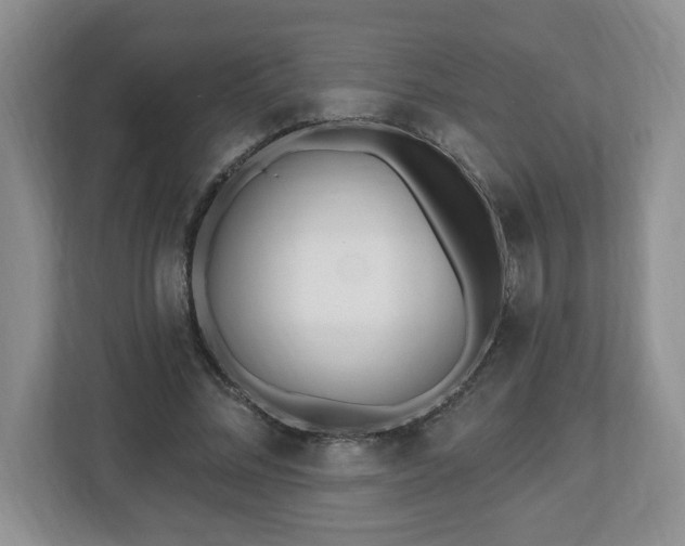 X0000112540684200908241527