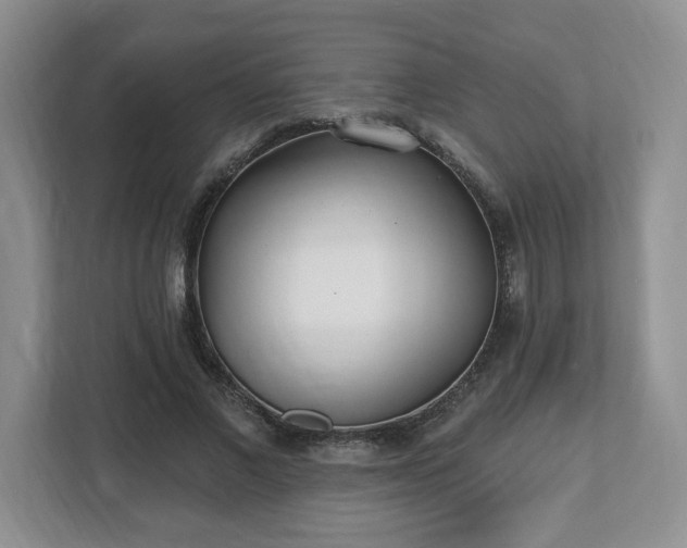 X0000112540685200908241527